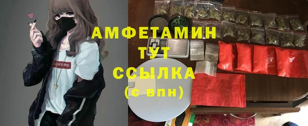 трава Аркадак