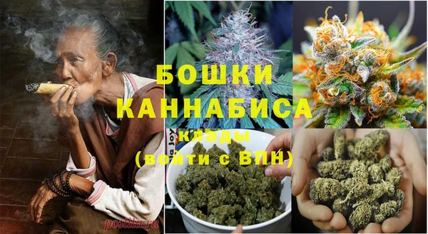 трава Аркадак